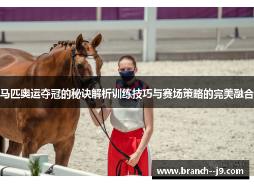马匹奥运夺冠的秘诀解析训练技巧与赛场策略的完美融合